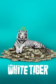 The White Tiger 2021 Full Movie Download Hindi Eng Tamil Telugu | NF WEB-DL 1080p 6GB 5GB 3GB 720p 1.6GB 480p 650MB