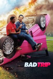 Bad Trip 2021 Hindi Dubbed Full Movie Download 720p, 480p