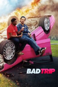 Bad Trip 2021 Hindi Dubbed Full Movie Download 720p, 480p