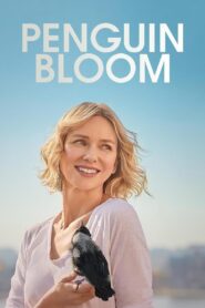 Penguin Bloom 2021 Full Movie Download HEVC 720p