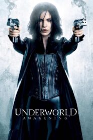 Underworld 4: Awakening 2012 Hindi Dubbed Full Movie BluRay Download 1080p 3.2GB, 720p, 480p