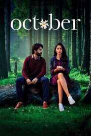 October 2018 Hindi Full Movie WebRip Download 1080p 3.4GB, 720p 1GB, 480p 380MB