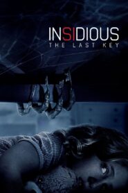 Insidious: The Last Key 2018 Movie BluRay Dual Audio Hindi Eng Download 1080p 7.5GB, 1080p 3.5GB, 720p 1.04GB, 480p 315MB