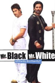 Mr. Black Mr. White 2008 Hindi Full Movie WebRip Download 1080p, 720p, 480p