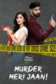 Murder Meri Jaan! Season 1 2021 DSNP Web Series Hindi WebRip All Episodes Download 720p, 480p