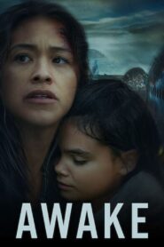 Awake 2021 Hindi Dubbed & ENG Full Movie Download 1080p, 720p, 480p | Latest Hindi Dubbed Movies