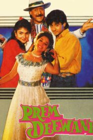Prem Deewane 1992 Hindi Full Movie WebRip High Quality 1080p 3.5GB, 720p, 480p
