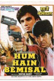 Hum Hain Bemisaal 1994 Hindi full Movie Download 1080p 2.6GB, 720p 1.5GB, 480p 380MB