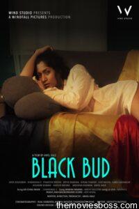 Black Bud 2021 Hindi Full Movie Download AMZN WebRip 1080p 6GB 2.5GB, 720p 800MB, 480p 250MB