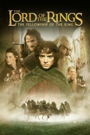 The Lord of the Rings 1: The Fellowship of the Ring 2001 Movie BluRay Extended Dual Audio Hindi Eng 1080p 4GB, 720p 2.3GB, 480p 690MB