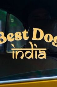Best Dog India Discovery+ Web Series Season-1 All Episodes Download | DSCV WebRip Hindi English 1080p 720p & 480p [Episode 1 Added]