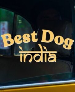 Best Dog India Discovery+ Web Series Season-1 All Episodes Download | DSCV WebRip Hindi English 1080p 720p & 480p [Episode 1 Added]