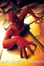 Spider-Man 2002 Full Movie Download Hindi & Multi Audio | BluRay 2160p 4K HDR 22GB 18GB 1080p 13GB 8.5GB 4GB 3GB 720p 1.2GB 480p 400MB