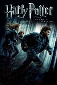 Harry Potter 7 – 2010 Full Movie Download | BluRay Dual Audio Hindi Eng 1080p 3GB, 720p 1.5GB, 480p 400MB