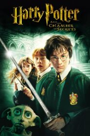 Harry Potter 2 – 2002 Full Movie Download Hindi & Multi Audio | BluRay EXTENDED 1080p 14GB 8GB 3GB 720p 1.3GB 480p 600MB