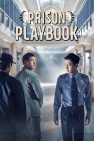 Prison Playbook Season-1 All Episodes Download | NF WebRip Dual Audi [Hindi & Korean] 1080p 720p & 480p