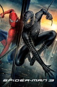 Spider-Man 3 2007 Full Movie Download Hindi & Multi Audio | BluRay 2160p 4K 25GB 21GB 1080p 15GB 10GB 5GB 2.5GB 720p 1.5GB 1GB 480p 480MB