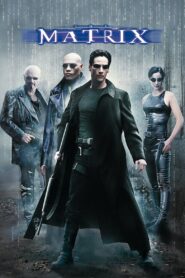 The Matrix 1999 Full Movie Download Dual Audio Hindi English | Bluray 1080p 2.7GB, 720p 1.4GB