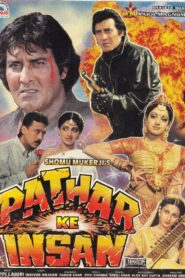 Pathar Ke Insan 1990 Hindi Full Movie Download | WebRip 1080p 7GB 3GB, 720p 1.2GB, 480p 590MB