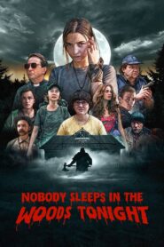 Nobody Sleeps in the Woods Tonight 2020 Full Movie Download English | NF WEB-DL 1080p 6GB 3GB 720p 1.5GB 1.2GB 480p 440MB
