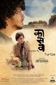 Kaasav: Turtle 2017 Full Movie Download Hindi & Multi Audio | SONY WebRip 1080p 3GB 720p 1.2GB 480p 550MB