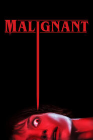 Malignant 2021 Full Movie Download Hindi & Multi Audio | BMS WebRip 2160p 4K 15GB 11GB 1440p 6.5GB 1080p 5GB 720p 2GB 480p 1.3GB
