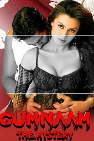 Gumnaam: The Mystery 2008 Hindi Full Movie Download | AMZN WEB-DL 1080p 10GB 6GB 3GB 720p 1GB 480p 320MB