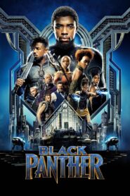 Black Panther 2018 Full Movie Download Hindi & Multi Audio | BluRay IMAX 2160p 4K HDR 21GB 10GB 1080p 11GB 5GB 2.5GB 720p 1.4GB 480p 470MB