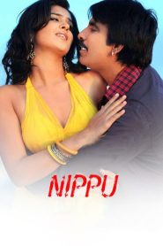 Nippu – Main Insaaf Karoonga 2012 Hindi Dubbed Full Movie Download | MX WEB-DL 1080p 6GB 3GB 720p 1GB 480p 340MB