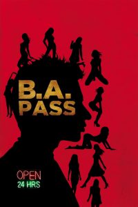 B.A. Pass 2012 Hindi Full Movie Download | AMZN WEB-DL 1080p 3GB 720p 900MB 480p 270MB