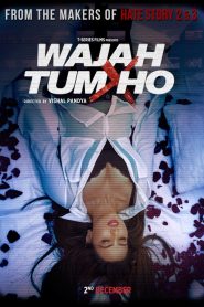 Wajah Tum Ho 2016 Hindi Full Movie Download | AMZN WEB-DL 1080p 7GB 4GB 3GB 720p 1.2GB 480p 350MB