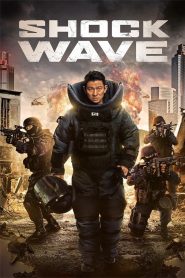 Shock Wave 2017 Hindi Dubbed Full Movie Download | WEB-DL 1080p 5GB 720p 2GB 480p 1GB