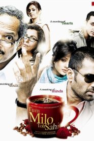 Tum Milo Toh Sahi 2010 Hindi Full Movie Download | AMZN WEB-DL 1080p 8GB 3.5GB 3GB 720p 1.3GB 1GB 480p 350MB