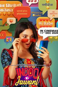 Indoo Ki Jawani 2020 Hindi Full Movie Download | NF WEB-DL 1080p 5GB 3.5GB 720p 1GB 480p 300MB