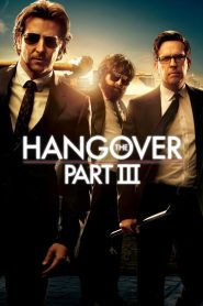 The Hangover Part III 2013 Full Movie Download Dual Audio Hindi Eng | BluRay 1080p 12GB 3GB 2GB 1.8GB 720p 1.7GB 480p 300MB