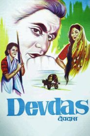 Devdas 1955 Hindi Full Movie Download | AMZN WEB-DL 1080p 8GB 4.5GB 4GB 720p 1.4GB 1.3GB 480p 400MB