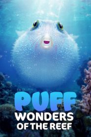 Puff: Wonders of the Reef 2021 Full Movie Download Dual Audio Hindi Eng | NF WEB-DL 1080p 3.5GB 3GB 720p 630MB 480p 180MB
