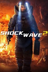 Shock Wave 2 2020 Full Movie Download Dual Audio Hindi Chinese | BluRay 2160p 4K 22GB 1080p 26GB 13GB 5GB 2.5GB 720p 1GB 480p 500MB