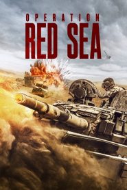 Operation Red Sea 2018 Full Movie Download Hindi Eng Tamil Telugu | AMZN WEB-DL 1080p 13GB 11GB 8GB 5GB 3GB 720p 1.5GB 900MB 480p 340MB