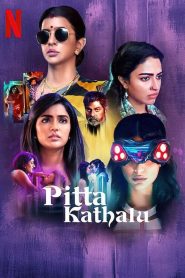 Pitta Kathalu 2021 Web Series Season 1 All Episodes Download Hindi Eng Tamil Telugu | NF WEB-DL 1080p 720p & 480p