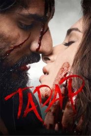 Tadap 2021 Hindi Full Movie Download | DSNP WEB-DL 2160p 4K 18GB 1080p 3GB 2.5GB 720p 1.3GB 1GB 480p 300MB