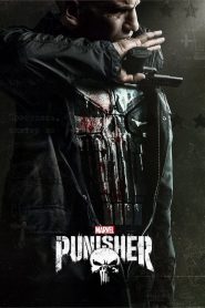 Marvel’s The Punisher Web Series Season 1-2 All Episodes Download English | NF WEB-DL 1080p 720p & 480p