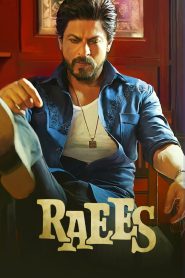 Raees 2017 Hindi Full Movie Download | BluRay 1080p 15GB 11GB 8GB 4GB 3.5GB 720p 1.2GB 480p 380MB