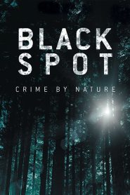 Black Spot Web Series Season 1-2 All Episodes Download English | NF WEB-DL 1080p 720p & 480p