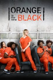 Orange Is the New Black Web Series Season 1-2 All Episodes Download Dual Audio Hindi Eng | NF WEB-DL 1080p 720p & 480p