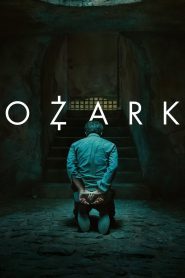 Ozark Web Series Season 1-4 Complete All Episodes Download Dual Audio Hindi Eng | NF WEB-DL 1080p 720p & 480p