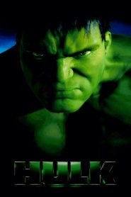 Hulk 2003 Full Movie Download Hindi & Multi | BluRay 2160p 4K UHD 16GB 1080p 12GB 8GB 6GB 4GB 720p 1.4GB 480p 450MB